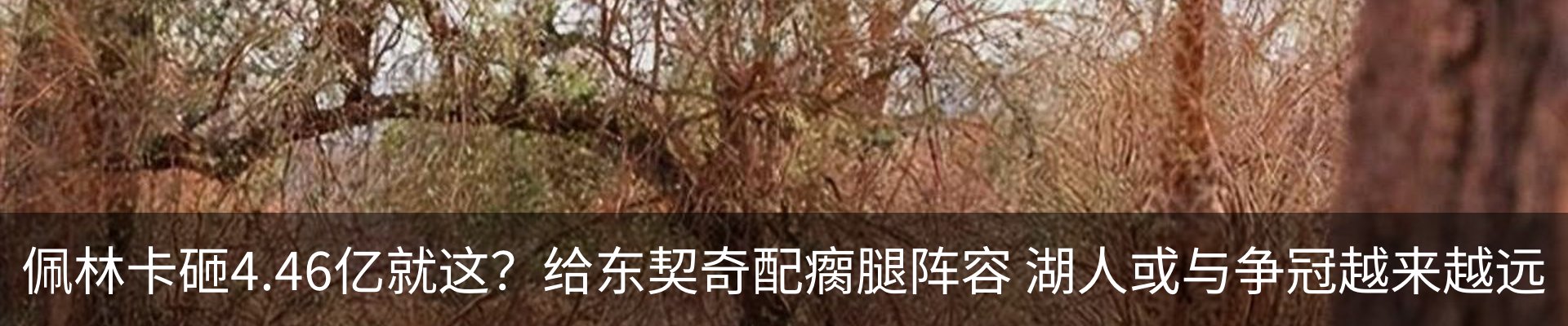 热点资讯