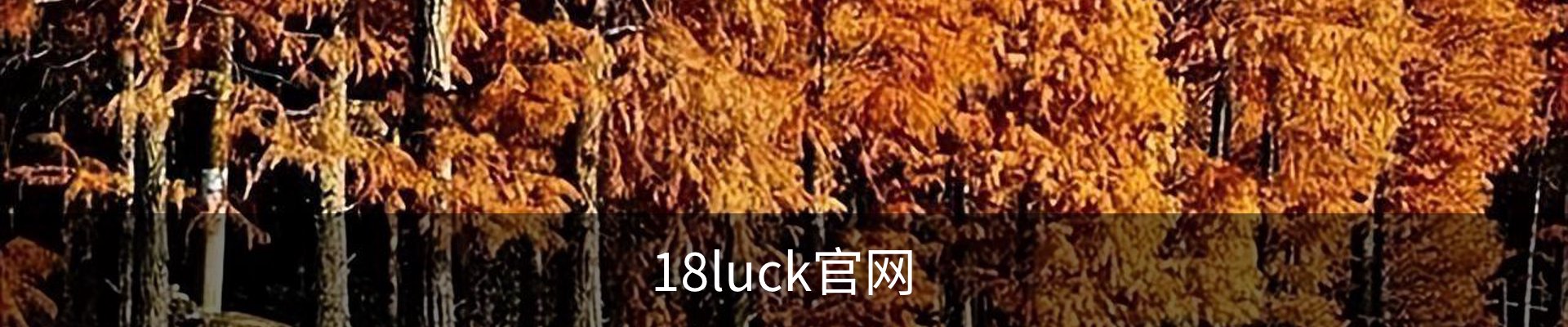 18luck官网